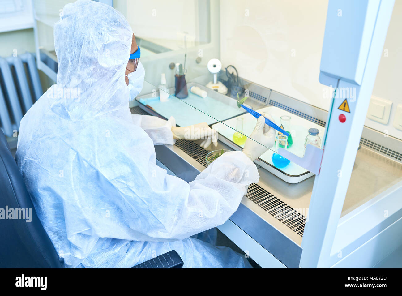 Biologe mit Blätter in der chemischen Forschung Stockfoto