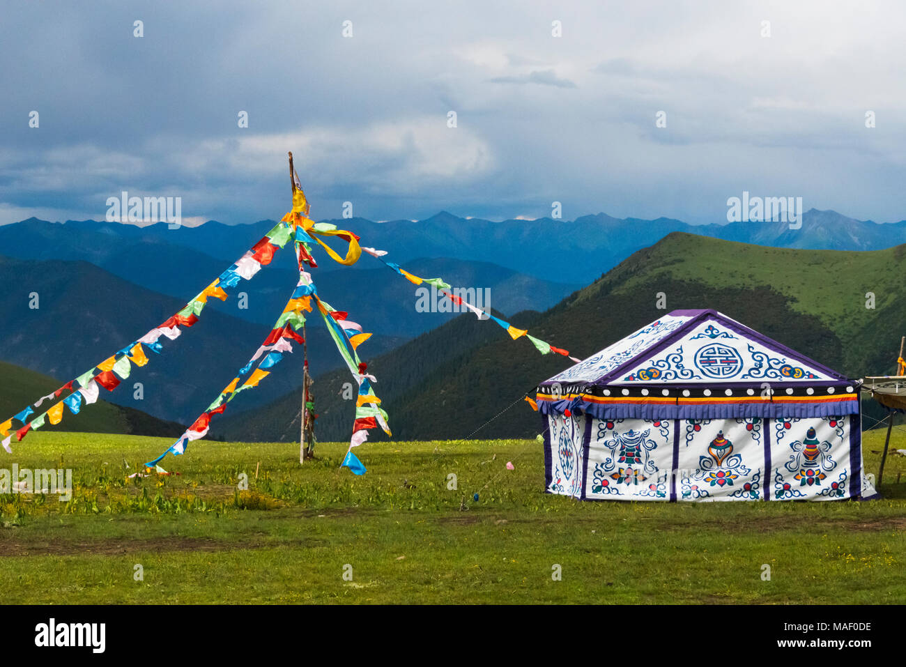Tibetische Jurten auf der Wiese, Litang, westliches Sichuan, China Stockfoto