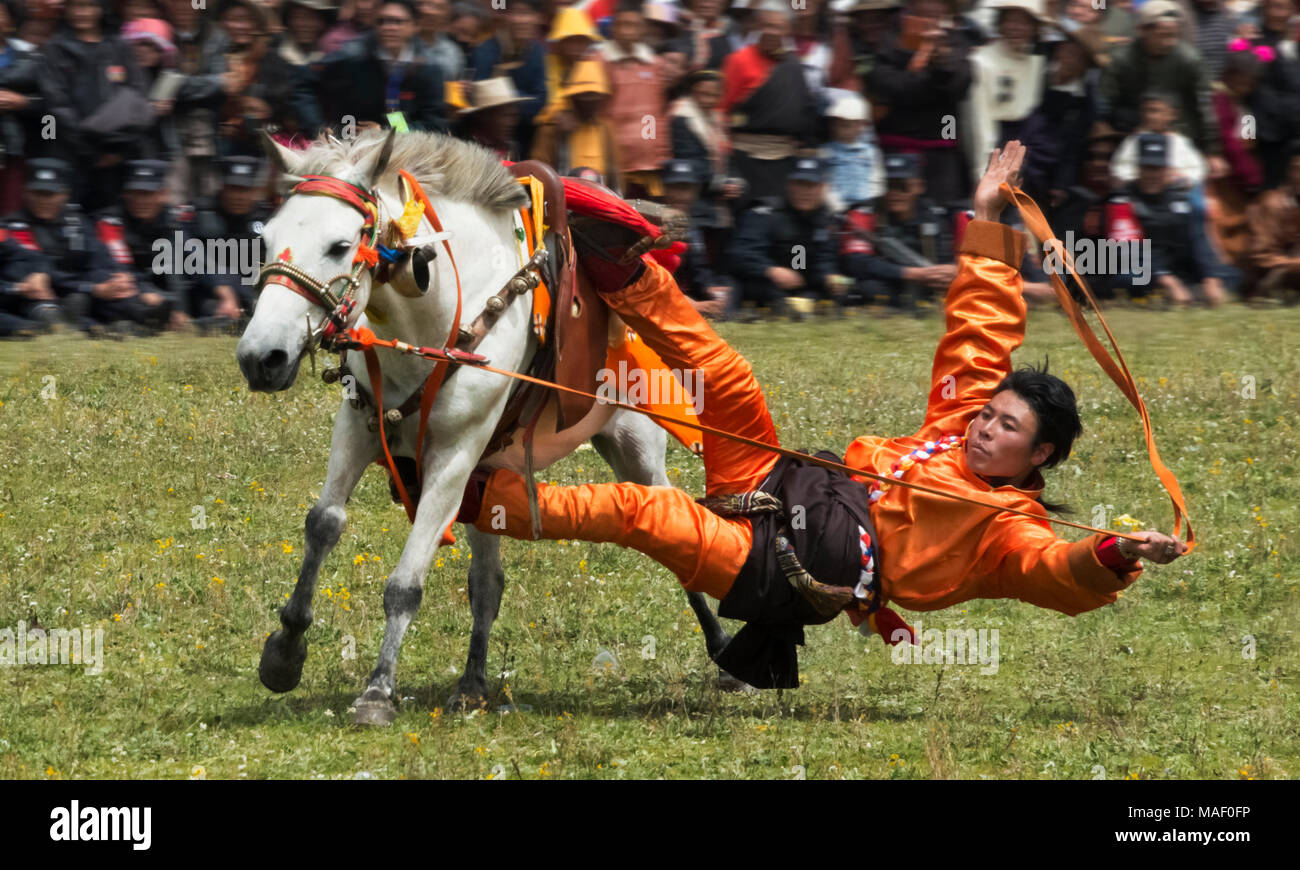 Das tibetische Volk Pferd Rennen bei Pferderennen Festival, Litang, westliches Sichuan, China Stockfoto