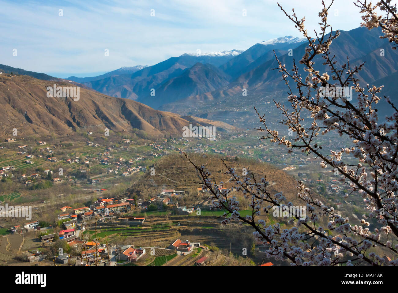 Tibetischen Dorf, Ackerland und Birne Blumen im Tal, Jinchuan, Provinz Sichuan, China Stockfoto