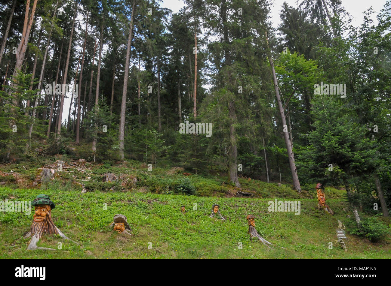 Holzschnitzereien entlang der Spur der Schlühuwanapark, Grafenhausen, State Park, Schwarzwald, Deutschland Stockfoto