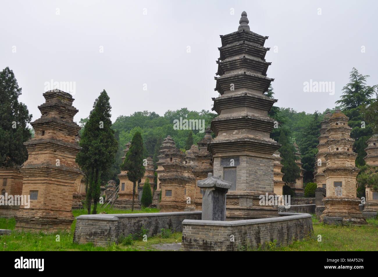 Pagode Wald bei Shaolin Tempel, Henan, China Stockfoto