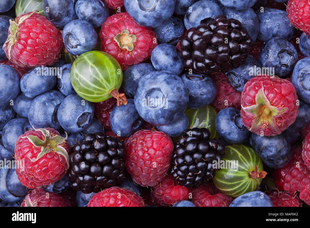 Heidelbeeren, Himbeeren, Brombeeren und Stachelbeeren Hintergrund Schuß von oben nach unten. Ansicht von oben. Stockfoto