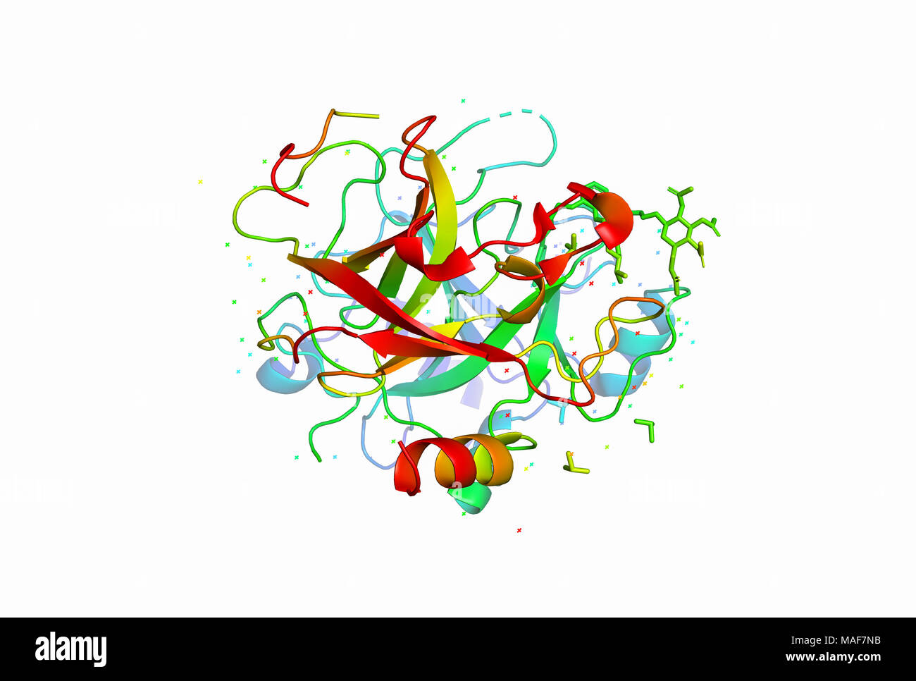 3D-Modell eines Proteinmoleküls. Die räumliche orientierte Struktur des Makromoleküls. Stockfoto