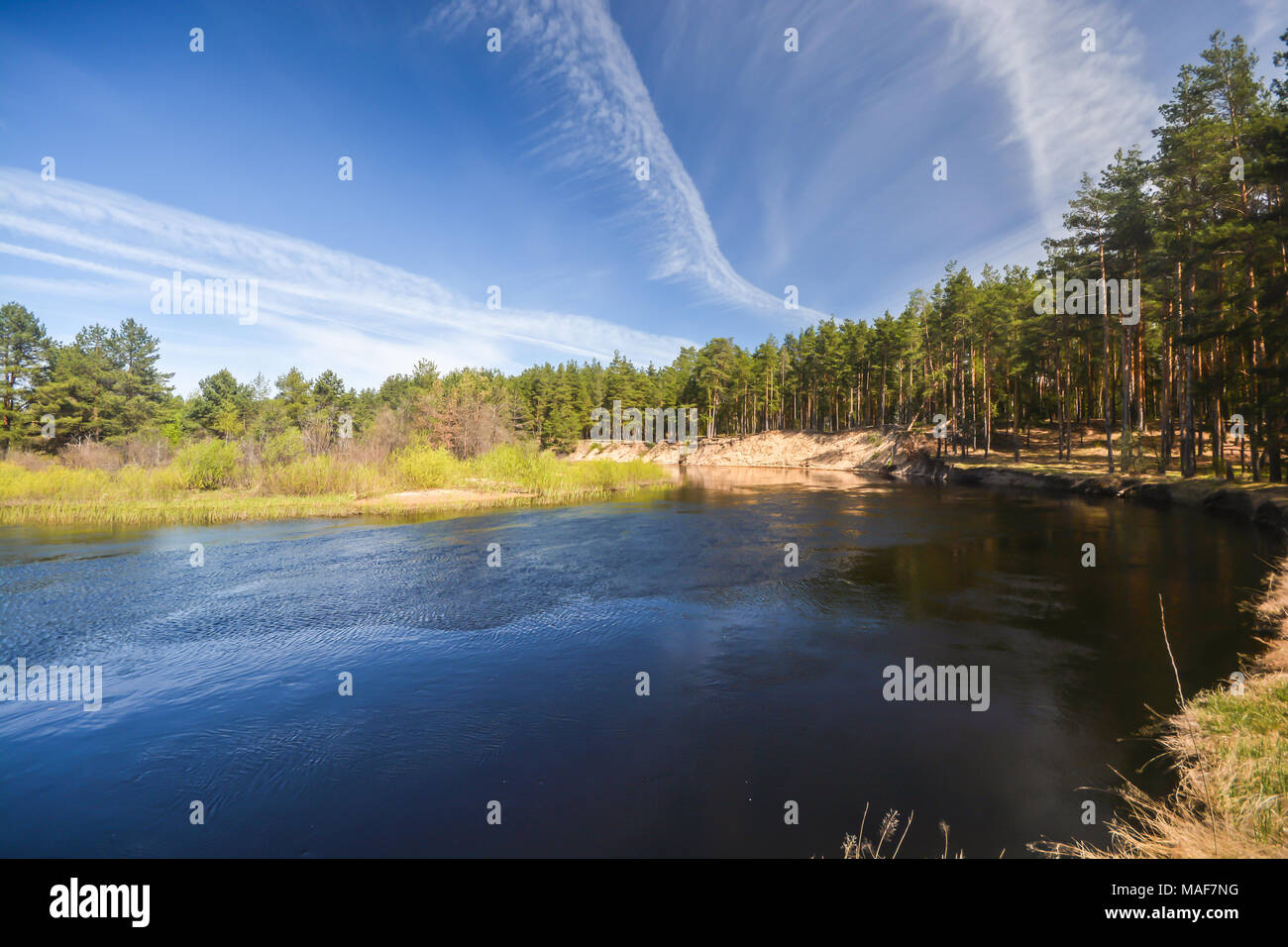 Feder am Wald Fluss. Wasser Landschaft im Mai, National Park im Zentrum von Russland. Stockfoto