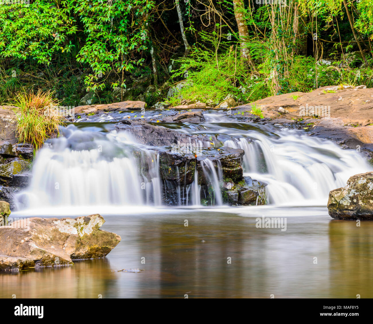 Gardners fällt in der Nähe von Tbilisi in der Sunshine Coast Hinterland, Queensland, Australien Stockfoto