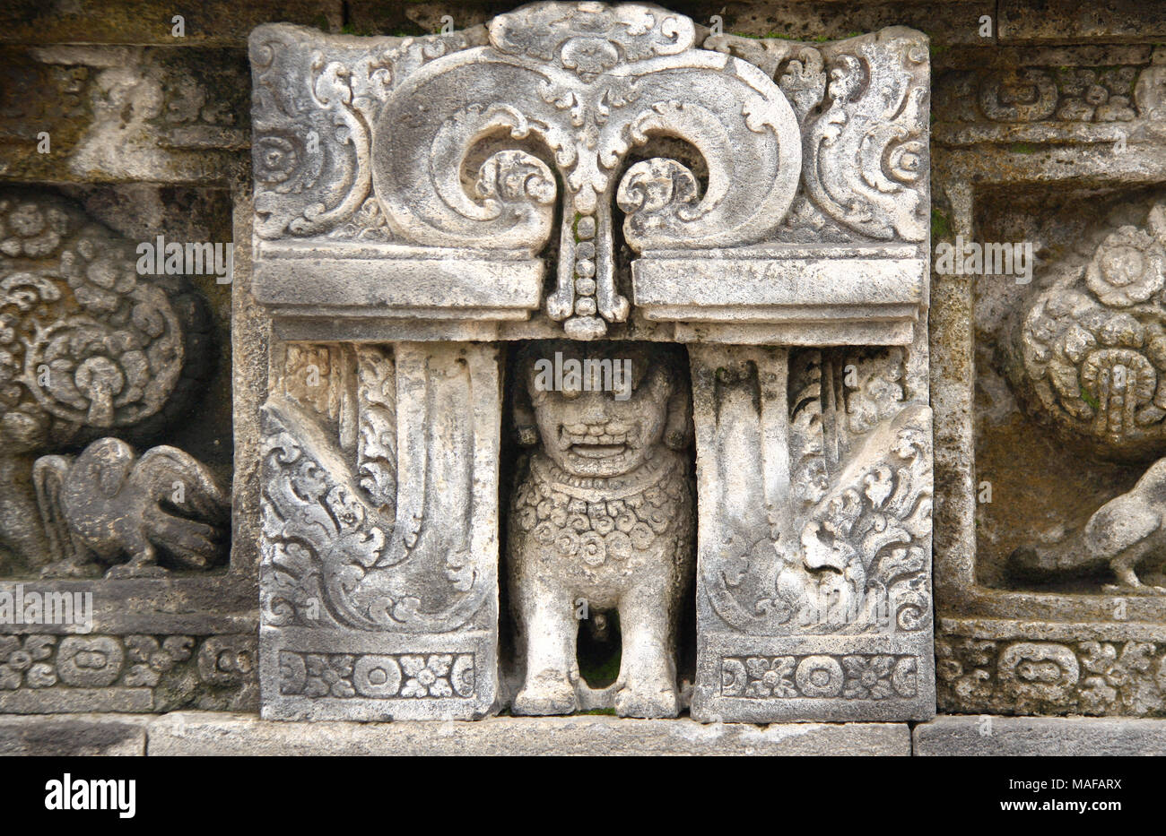 Alte Stein bas-relief mit Lion und Papagei, Buddhistischen Tempel Borobudur, Yogyakarta, Zentraljava, Indonesien. Weltkulturerbe der UNESCO Stockfoto