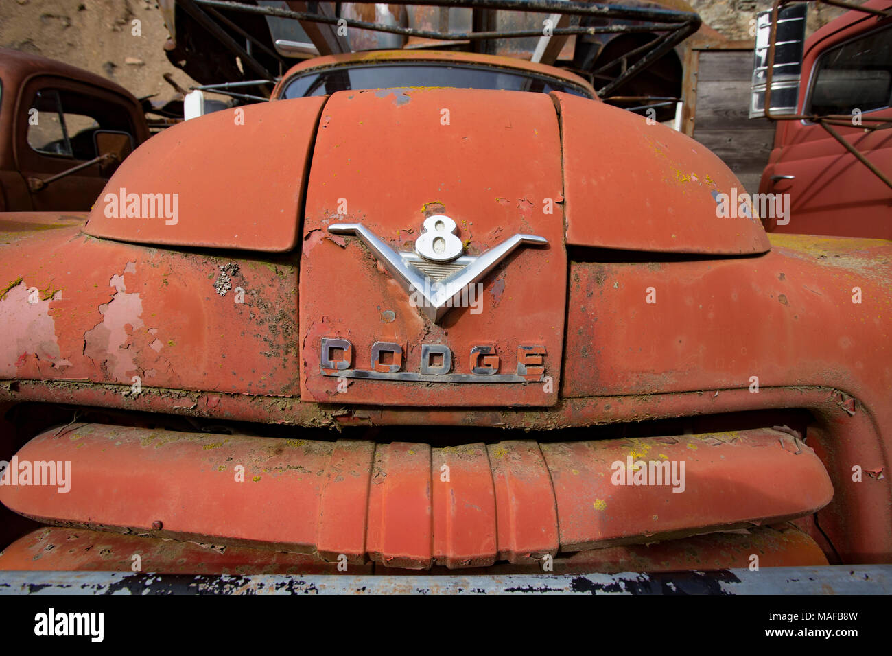 Der verchromte "V-8 Dodge'-Logo auf der Vorderseite eines roten 1955 Job bewertet Dodge C-Serie, V-8-Lkw, in einem alten Steinbruch, östlich von Clark Gabel Idaho. Stockfoto