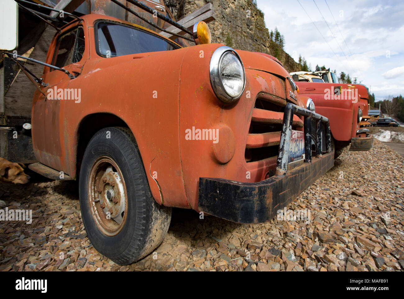 Ein rotes 1955 Job bewertet Dodge C-Serie, V-8-Lkw, in einem alten Steinbruch, östlich von Clark Gabel Idaho. Stockfoto