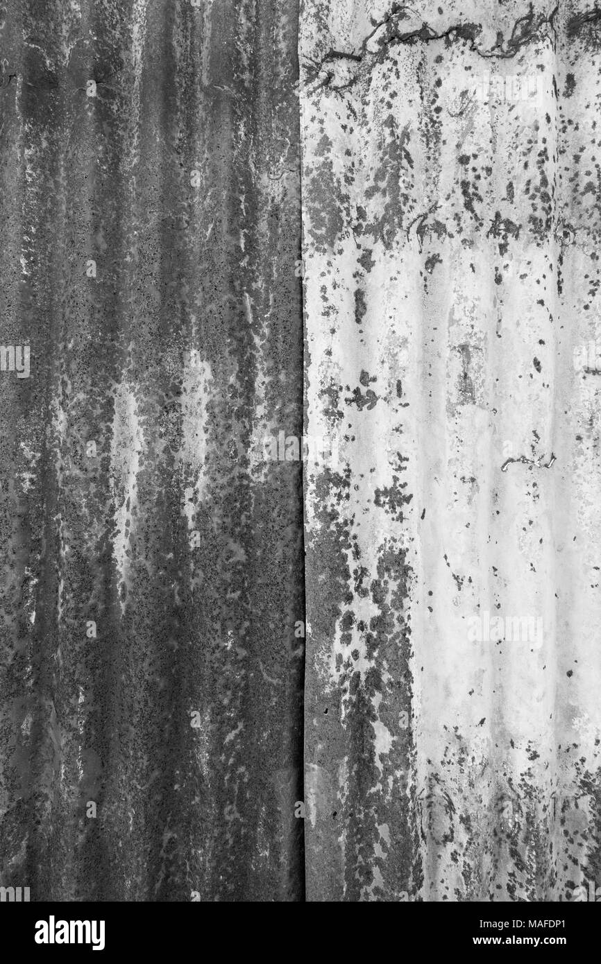 Nahaufnahme einer rostigen und Wellblech metall Baustelle wand Textur Hintergrund in Schwarz und Weiß. Stockfoto