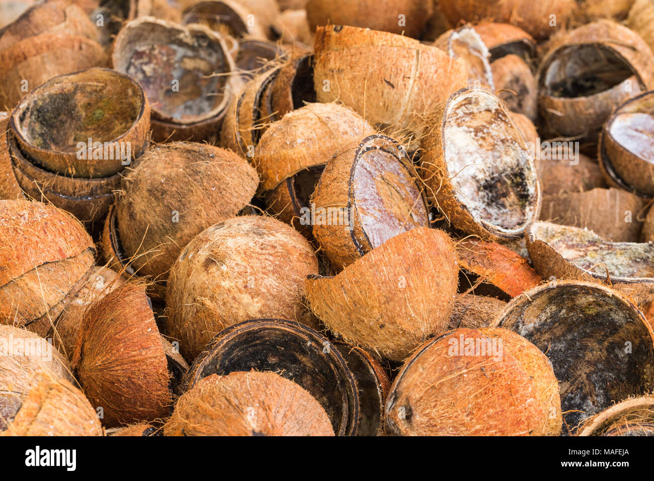 Stapel der weggeworfene Kokosnussschalen Stockfoto