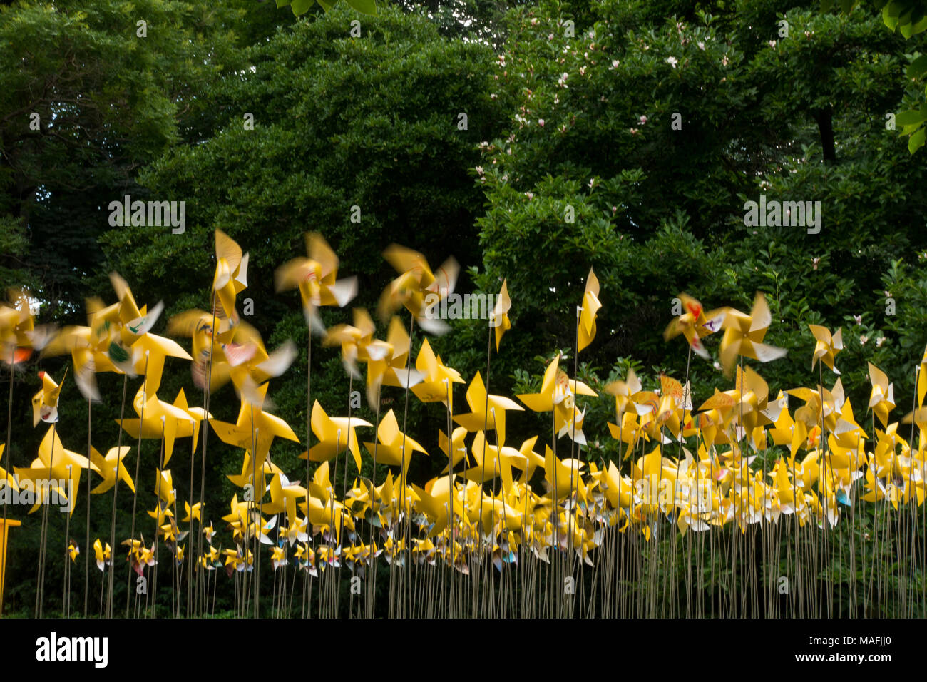Gelbe pinwheel öffentliches Kunstprojekt im Prospect Park in Brooklyn NYC Stockfoto