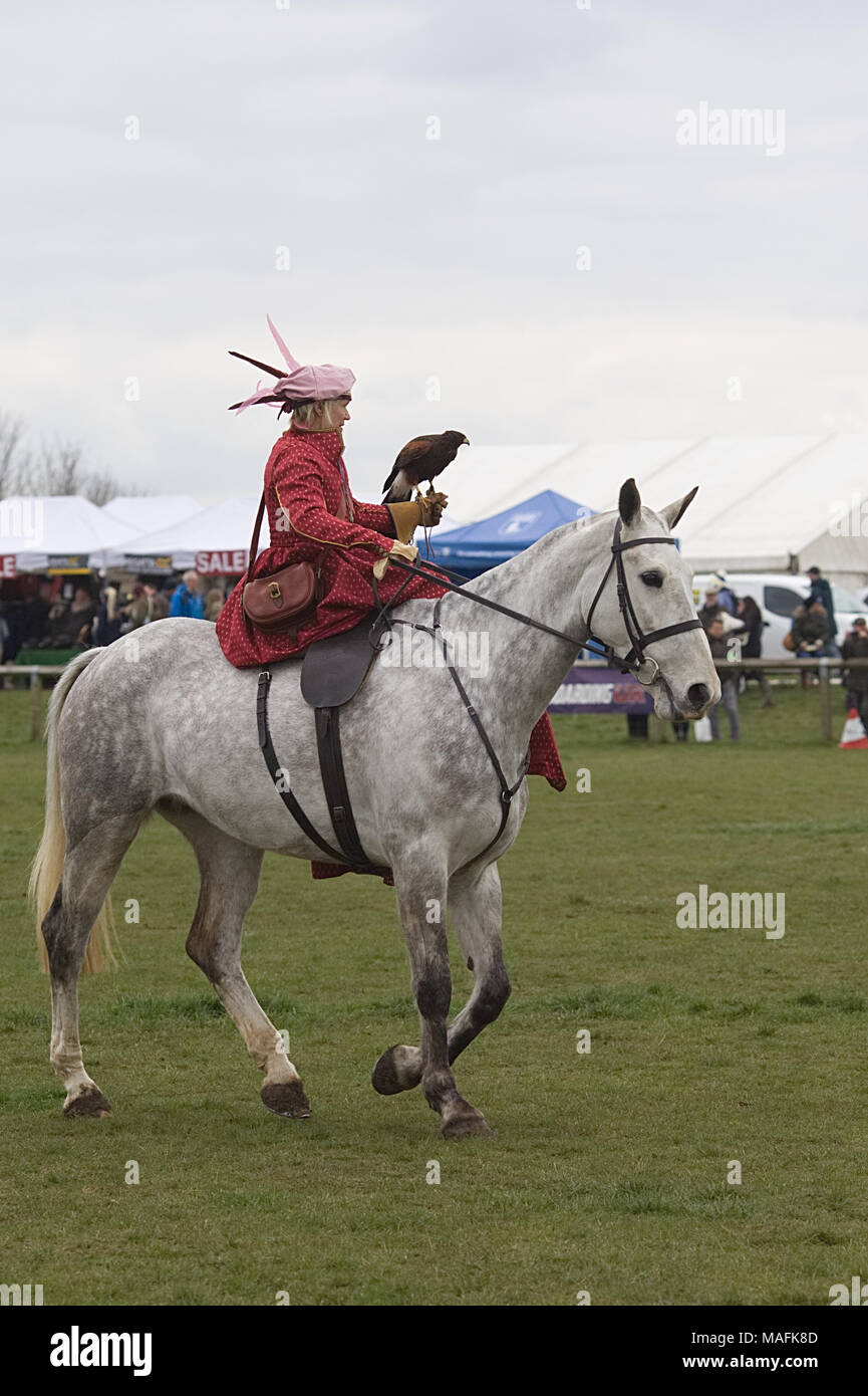 Tudor falconry Display mit Pferden Stockfoto