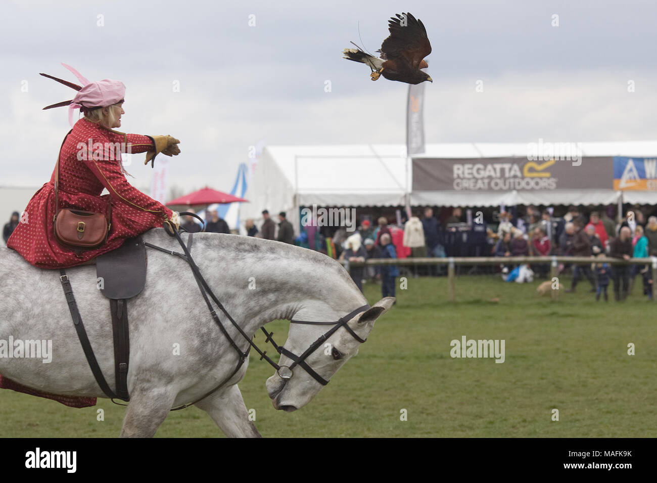 Tudor falconry Display mit Pferden Stockfoto