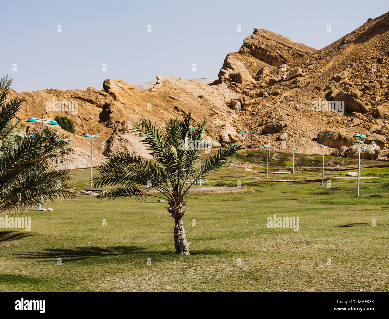 Al-Jahli-Park in Al Ain, Vereinigte Arabische Emirate Stockfoto