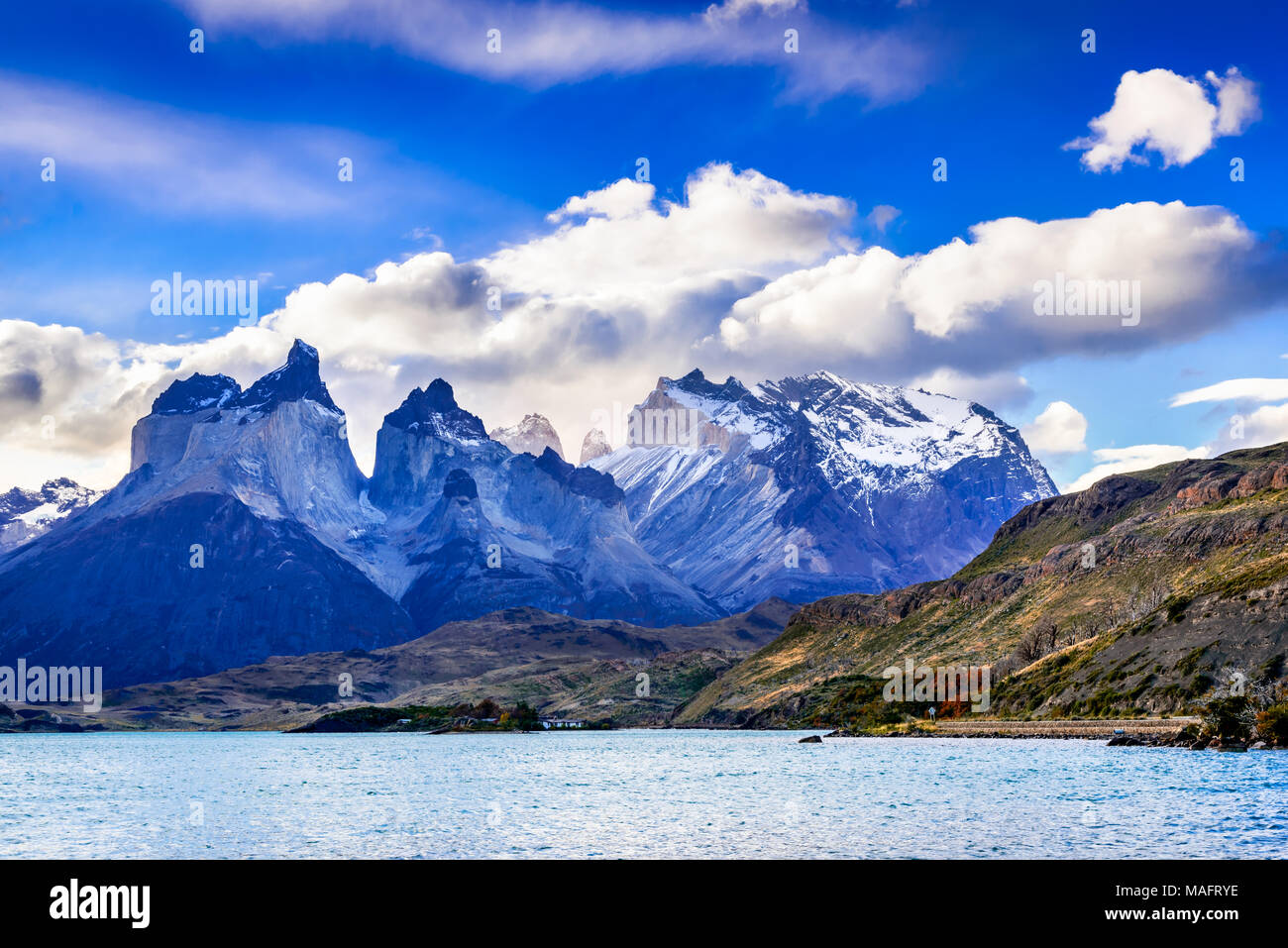 Torres del Paine, Chile. Herbst austral Landschaft in Patagonien mit Lago Pehoe in Südamerika. Stockfoto