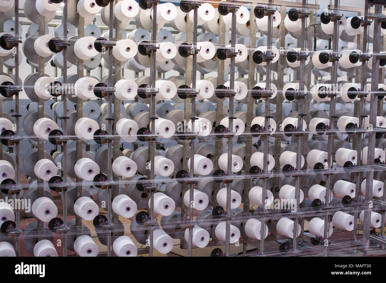 In der Baumwollspinnerei, eine Fabrik Gehäuse Powered Spinning oder Webmaschinen für die Herstellung von Garnen oder Tuch aus Baumwolle Stockfoto