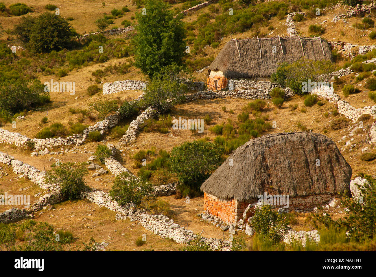 OKD HÄUSER IN ASTURIEN SPANIEN Stockfoto