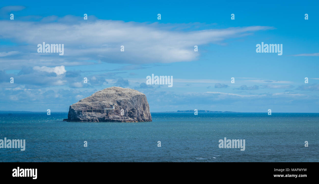 Bass Rock, Ansicht von Tantallon Castle. Stockfoto