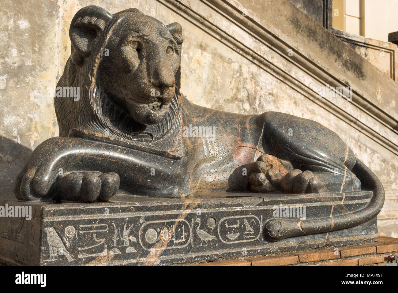 Eine von zwei Granit recumbent lion Statuen für den Pharao Nectanebo I, Cortile della Pigna, Vatikanischen Museen, Rom, Latium, Italien. Stockfoto