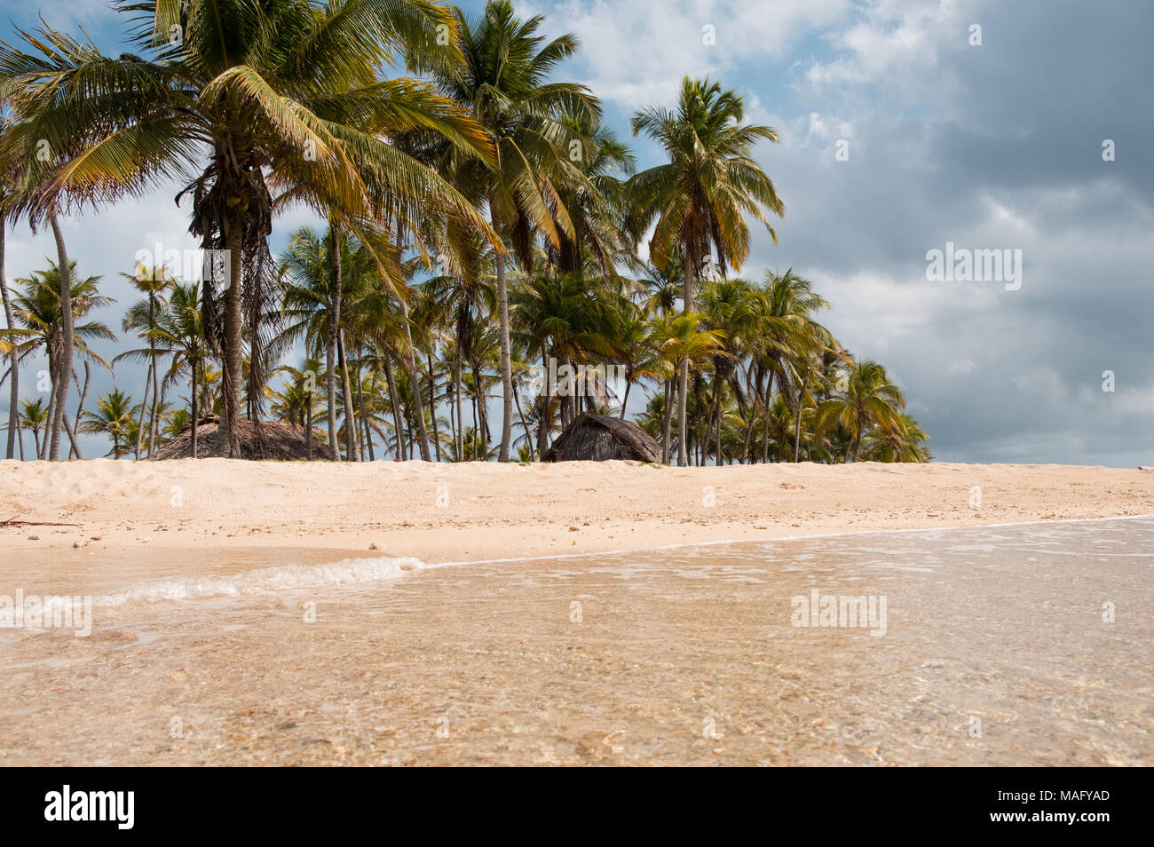 Ozean Wasser am Strand closeup, Palme Hintergrund Stockfoto