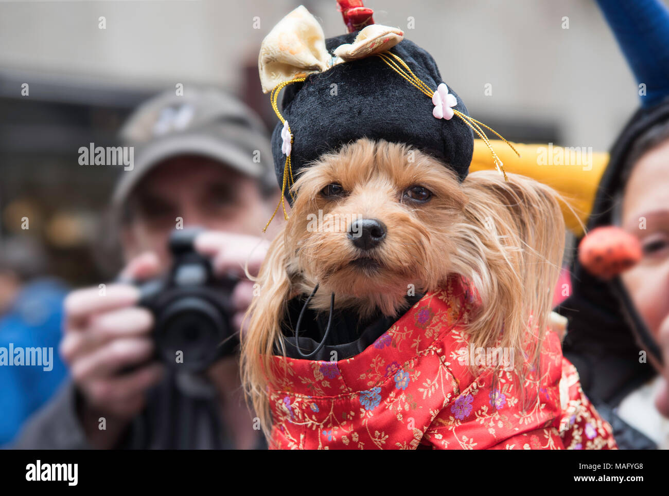 New York, NY, USA - 2018/04/01: New York City Easter Bonnet Parade auf der 5th Avenue in Midtown Manhattan Stockfoto