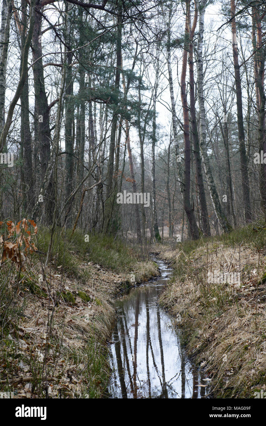 Grabenbach Fotos und Bildmaterial in hoher Auflösung Alamy