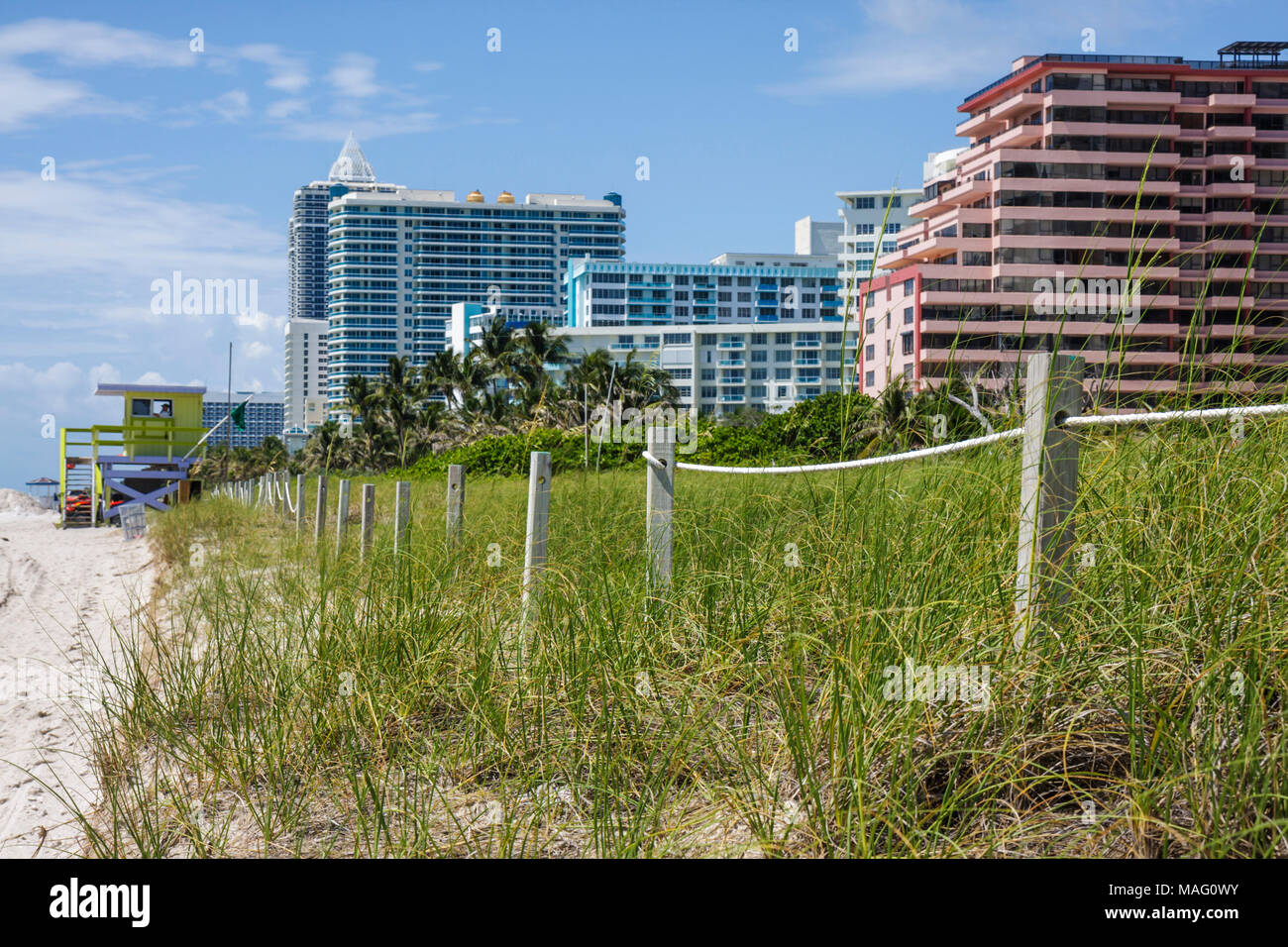 Miami Beach Florida, Beach View Park, Küstensanddüne, direkt am Meer, Eigentumswohnungen Eigentumswohnungen Eigentumswohnungen Wohnhäuser Wohnungen Fla Stockfoto