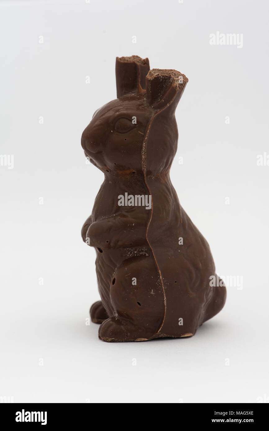 Eine Schokolade Osterhasen mit seinen Ohren kauen aus Stockfotografie -  Alamy