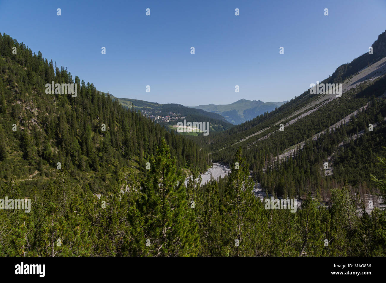 Blick vom natürlichen Welschtobel Tal nach Arosa im Sonnenlicht, Wald, blauer Himmel Stockfoto