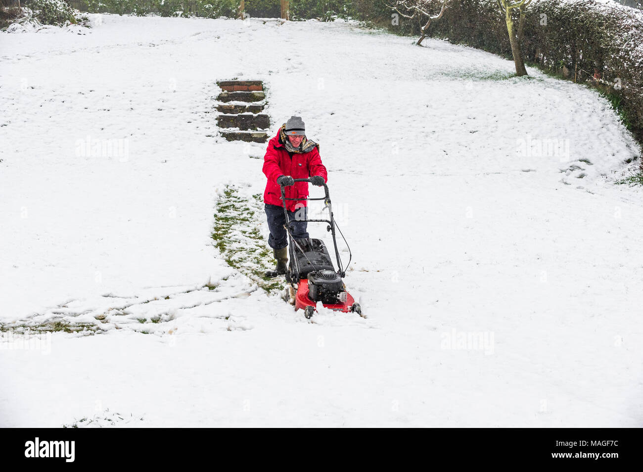 Mansfield, England. 2 Apr, 2018. UK Wetter: 2. April 2018. Die Feder und das Gras schneiden muss. Über Nacht Schnee bedeckt große Teile der East Midlands, wie es bewegt sich Norden durch Regen folgte. Credit: Alan Keith Beastall/Alamy leben Nachrichten Stockfoto