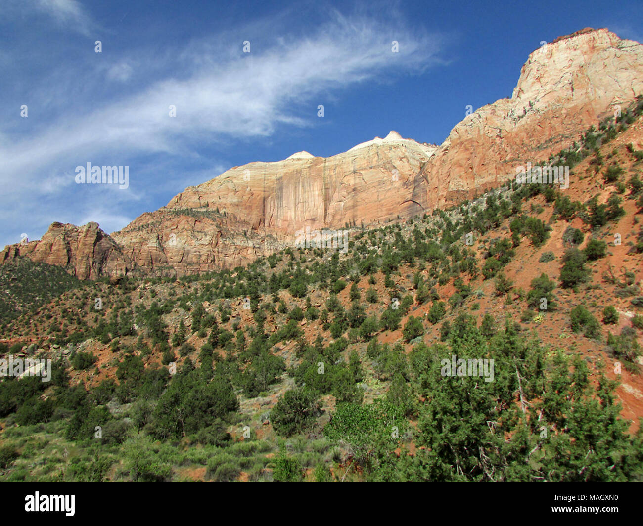 Zion NP in UT Stockfoto