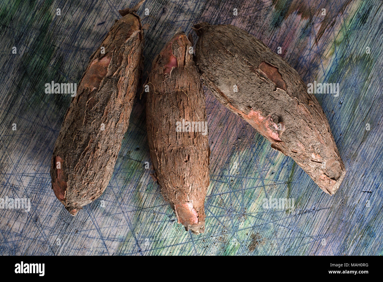 Cassava Wurzeln können zum Tod führen, wenn sie roh Stockfoto