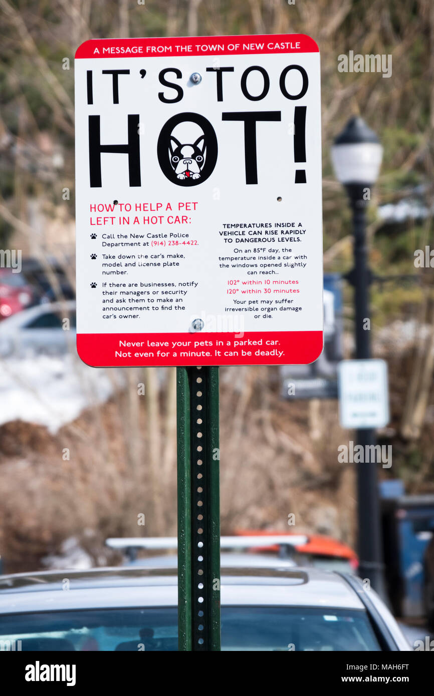 Ein Zeichen in Croton-on-Hudson, New York Anrainer nicht Tiere in Ihrer geparkten Autos zu verlassen, wenn es zu heiß ist. Stockfoto