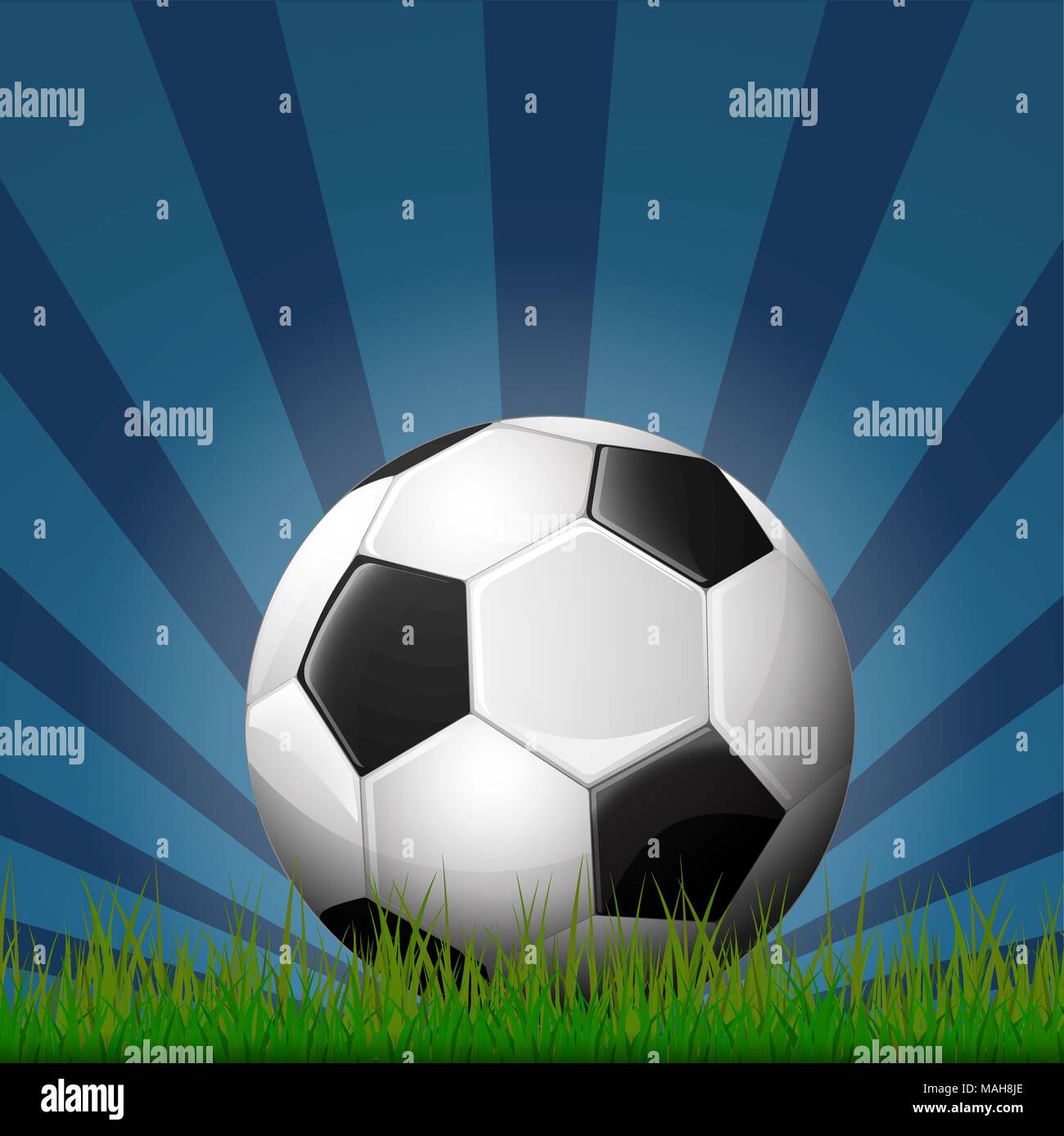 Fußball auf dem Rasen Stock Vektor