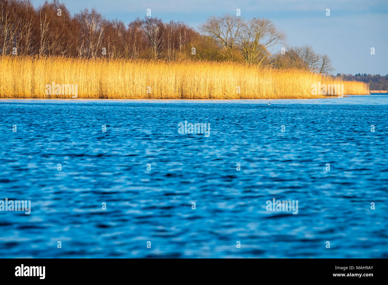 Landschaft in der oder Delta, Polen Stockfoto