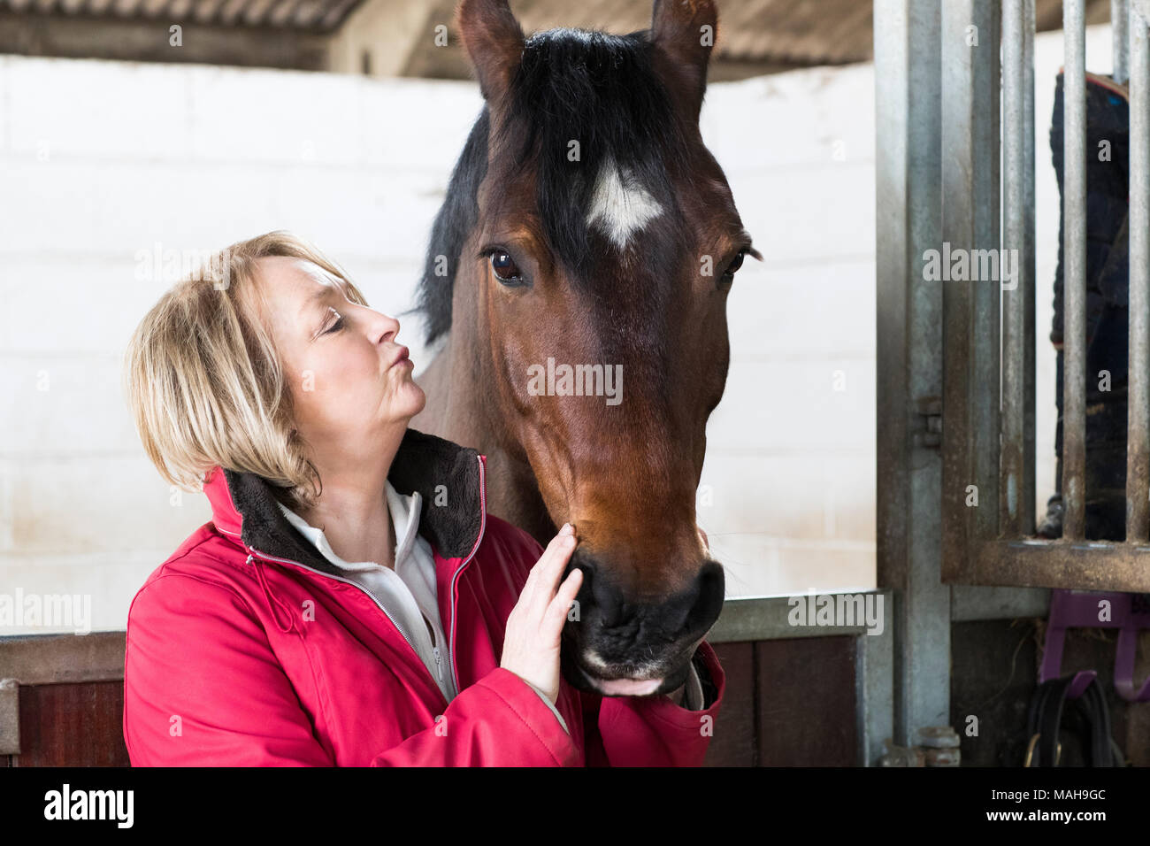 Reife weibliche Besitzer in stabilen mit Pferd Stockfoto