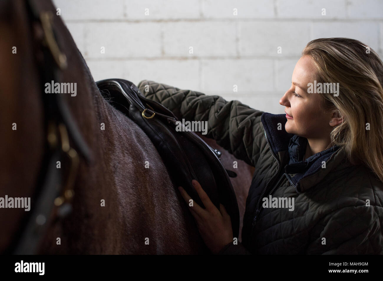 Satteln Reiterin Stockfotos und bilder Kaufen Alamy