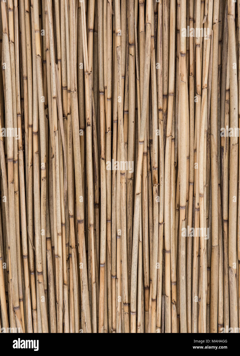 bambus safe Bamboo B- Safe Key