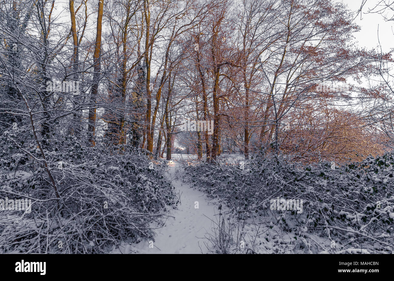 Herbst orange Tönen nachzugeben, die Dominanz der Winter weiß Stockfoto