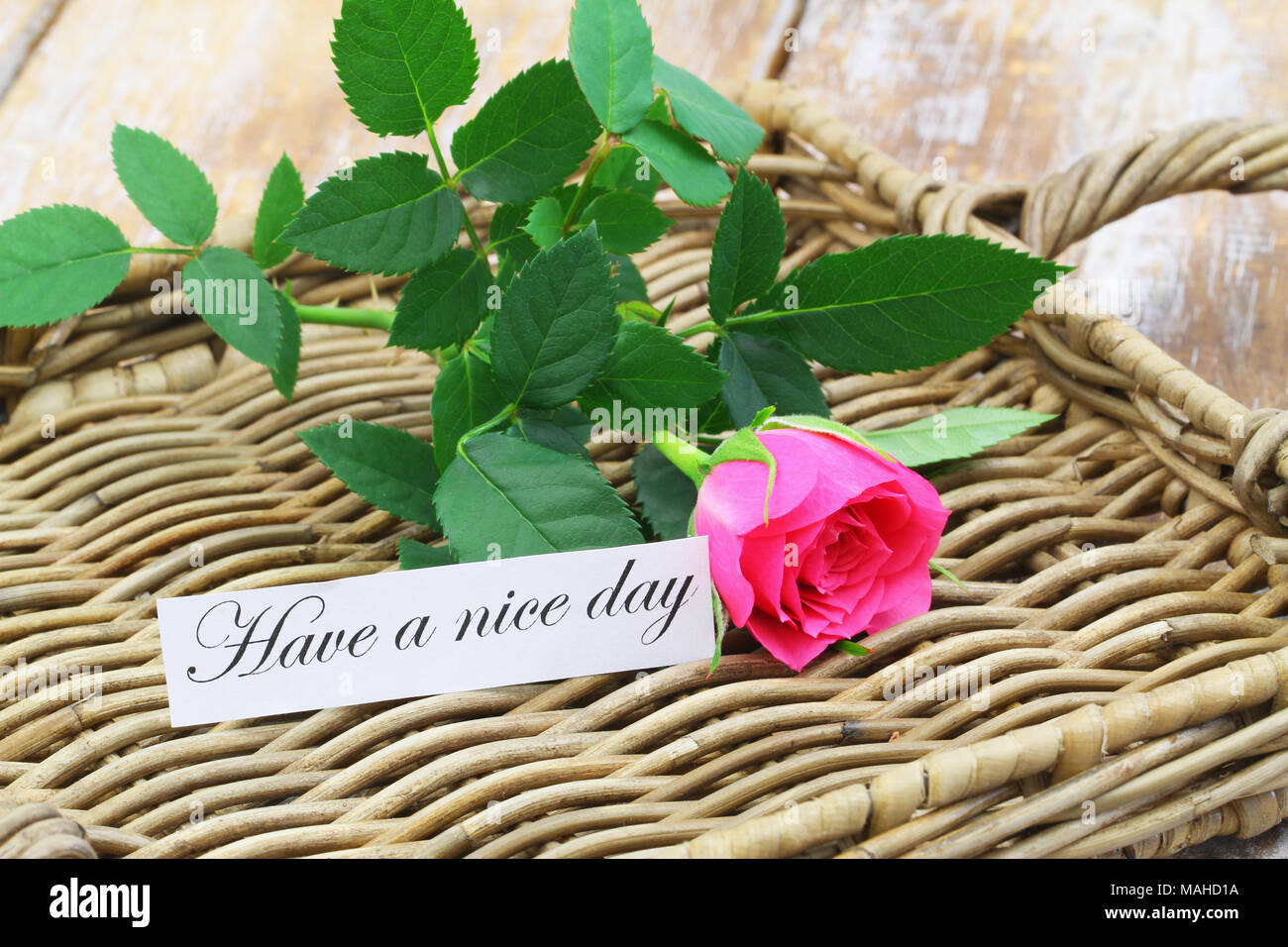 Einen schönen Tag noch Karte mit rosa Wild Rose auf wicker Oberfläche Stockfoto