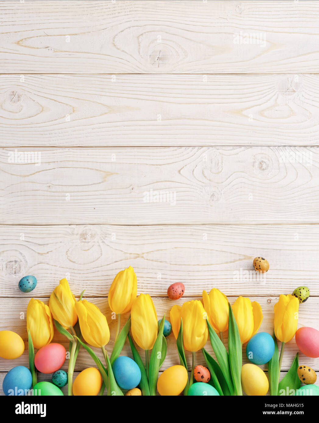 Ostern Hintergrund mit Ostereiern und Frühlingsblumen. Ansicht von oben mit der Kopie. Stockfoto