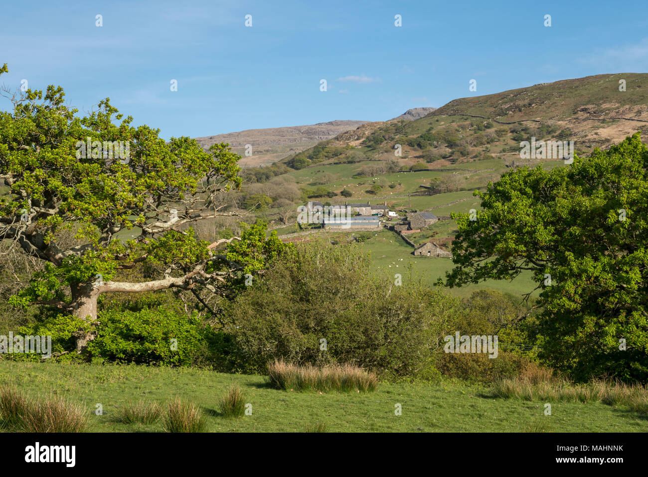 Schönen Frühsommer Tag in den Bergen in der Nähe von Harlech in Snowdonia, North Wales. Stockfoto