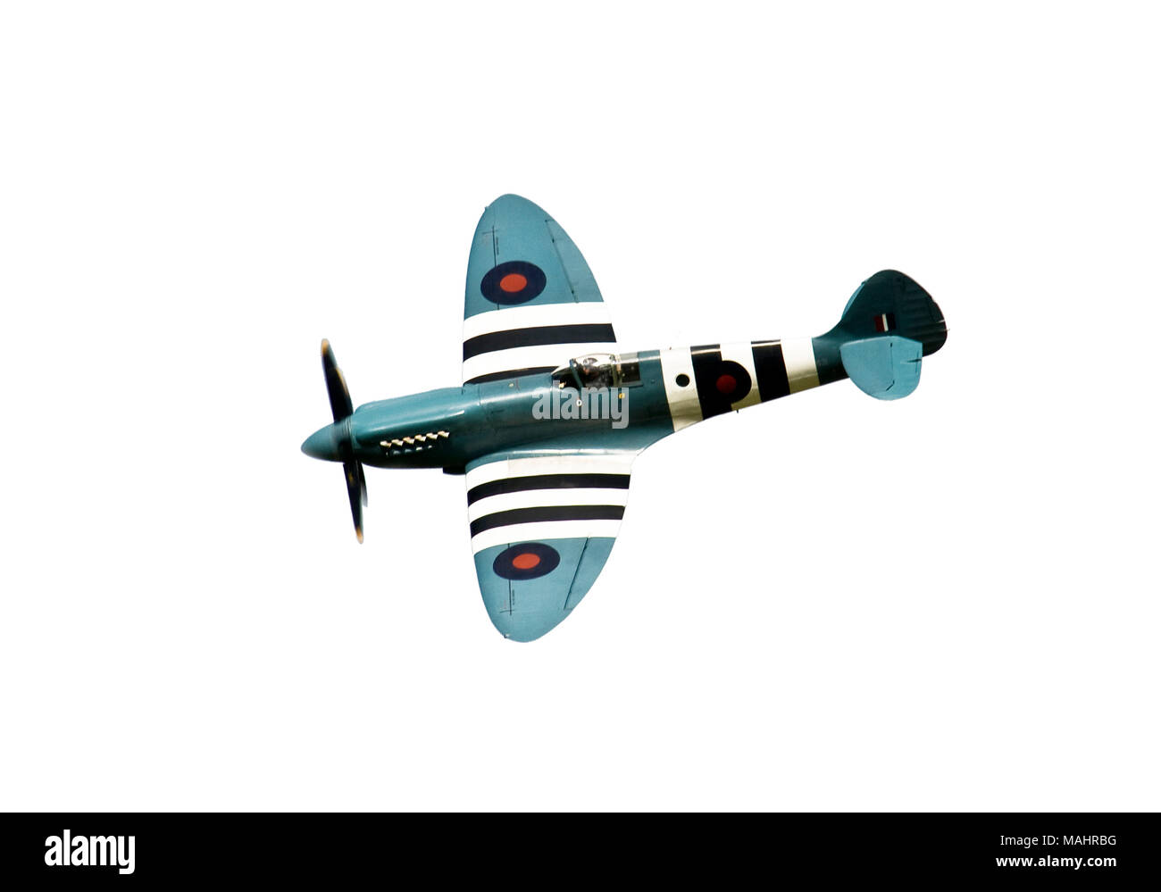 WW" Spitfire auf weißem Hintergrund Stockfoto