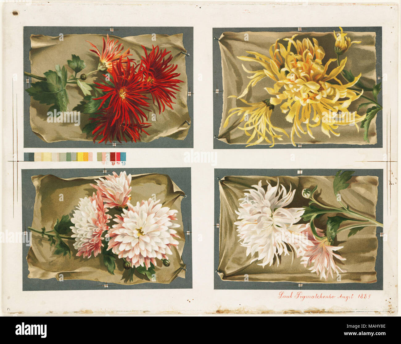 07 11 000501 Titel: Vier florale Kompositionen auf einem Blatt Creator/Contributor: L. Prang & Co (Publisher) Datum der Ausgabe: 1861-1897 (ca.), physische Beschreibung Hinweis: Genre: Chromolithographs; Noch leben druckt Ort: Boston Public Library, auf 2011-08-07: Kamera: Sinar AG Sinarback 54 FW, Sinar m Stockfoto