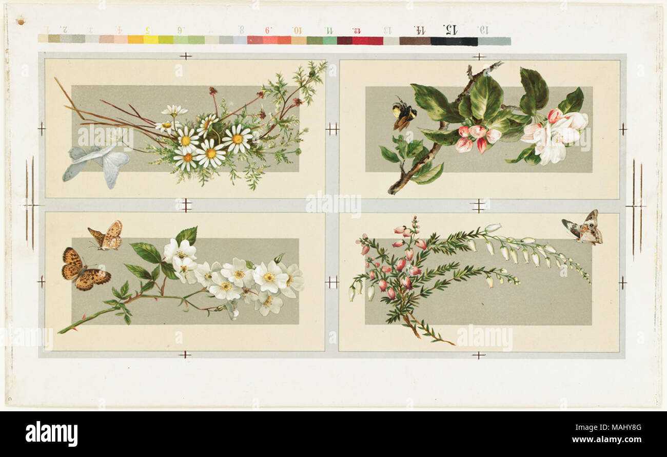 07 11 000506 Titel: vier Blumen und Insekten Kompositionen auf einem Blatt Creator/Contributor: L. Prang & Co (Publisher) Datum der Ausgabe: 1861-1897 (ca.), physische Beschreibung Hinweis: Genre: Chromolithographs; Noch leben druckt Hinweise: Titel von Cataloger'. Ort: Boston Public Library, auf 2011-08-07: Kamera: Sinar AG Sinarback 54 FW, Sinar m Stockfoto