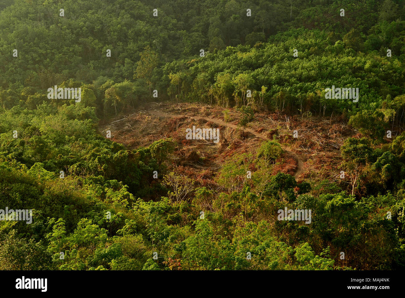 Meratus Berge von South Kalimantan, Indonesien. Stockfoto