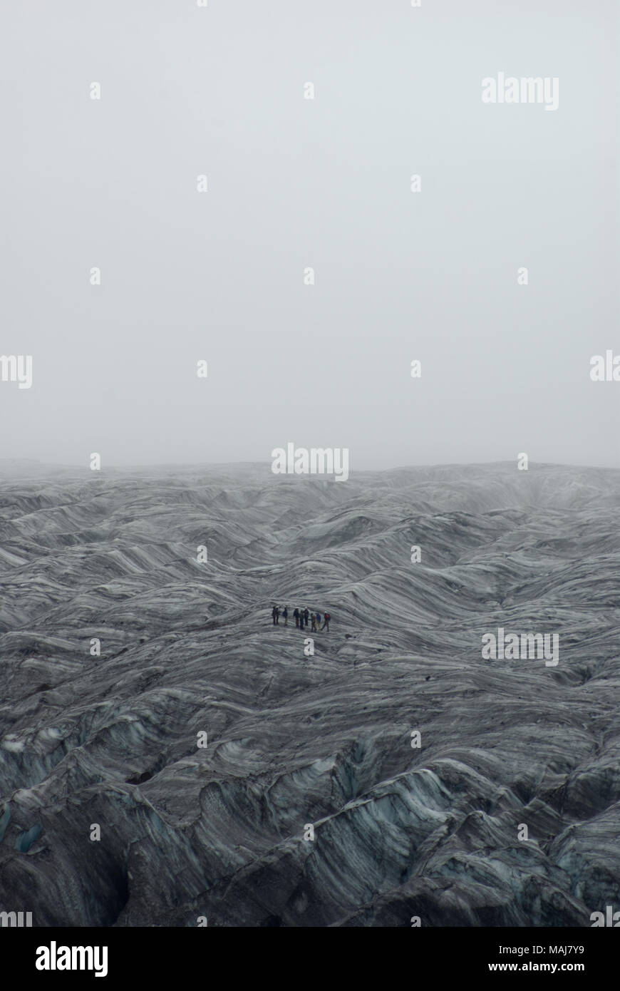 Gruppe von Touristen, die auf dem Gletscher Vatnajokul in Island wandern und von einem Gletscherführer bei Nebel durch ein gefährliches Gelände geführt werden. Stockfoto