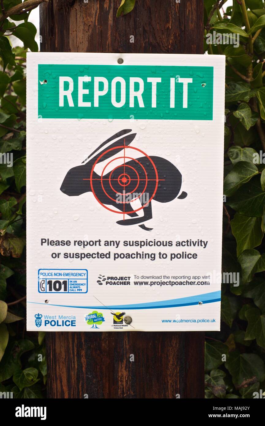Hasen schießen und gegen Wilderei Kampagne Zeichen in der Landschaft von Shropshire, melden Sie es West Mercia Polizei Stockfoto