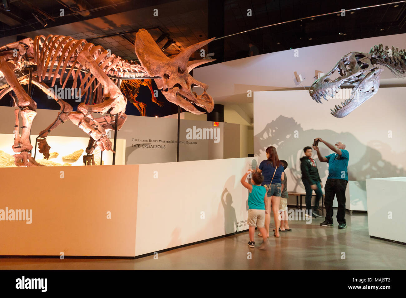 Besucher des Museums an die Dinosaurier-skelette suchen, Houston Museum of Natural Science, Houston, Texas, USA Stockfoto
